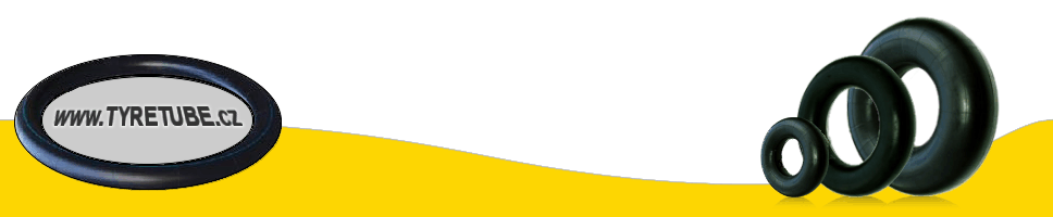 Primary Raster logo